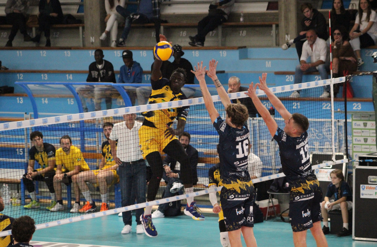 Bara Fall-WiMORE Parma