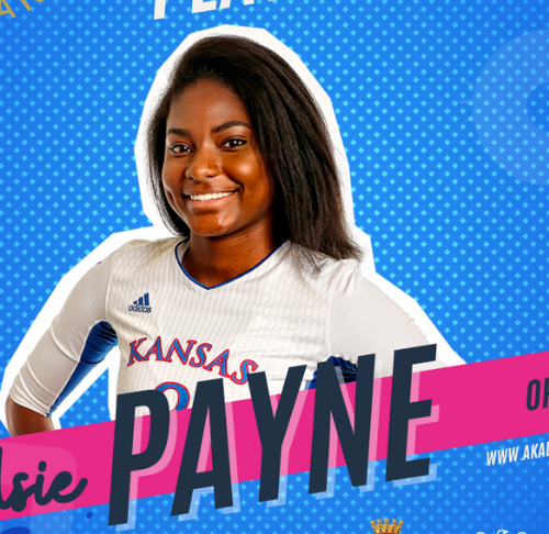 payne akademia