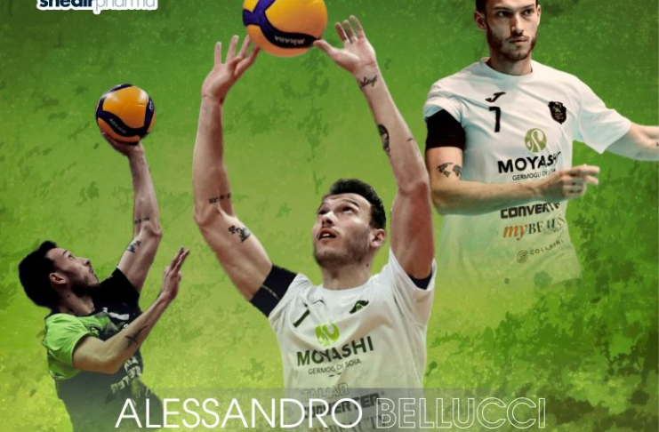 Alessandro Bellucci Shedirpharma