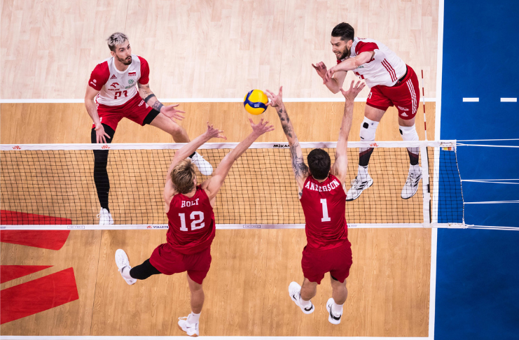 śliwka usa Polonia vnl