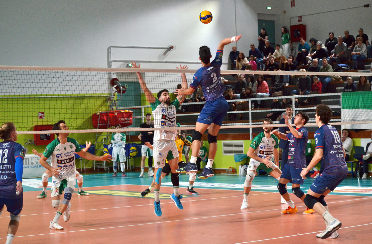 Pallavolo Bologna