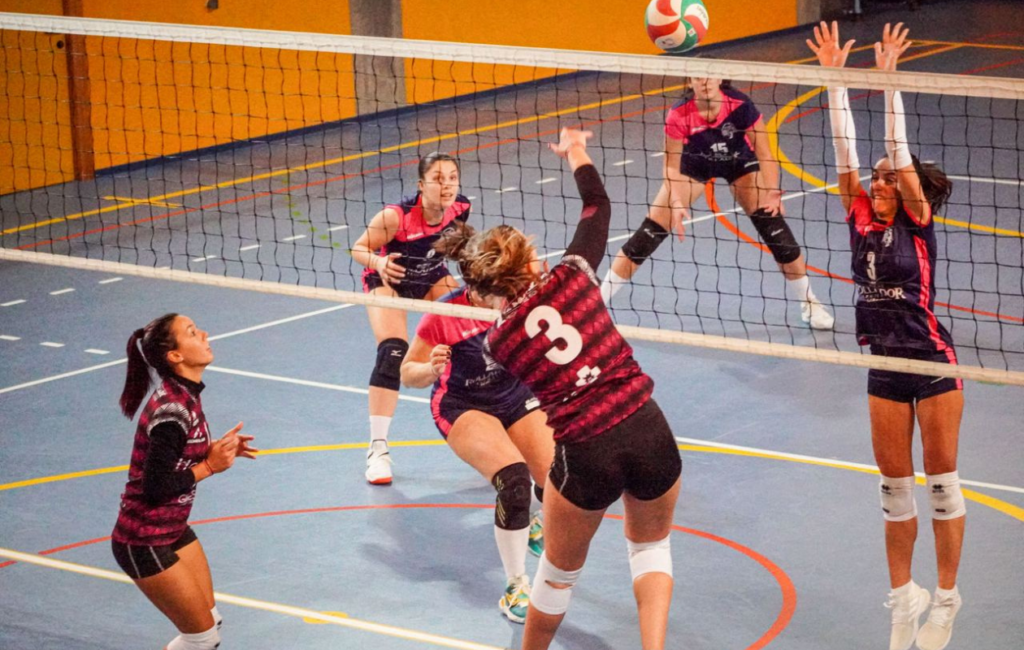 Homeclick Sb Volley serie d