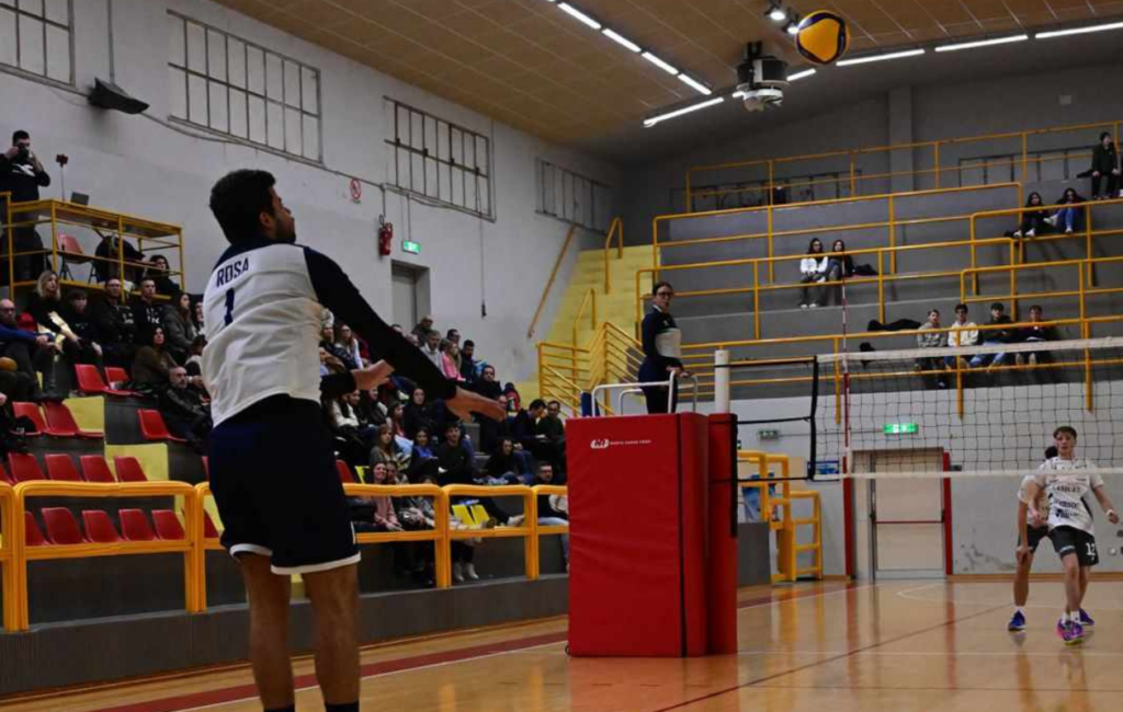 Nef Re Salmone Volley Libertas Osimo