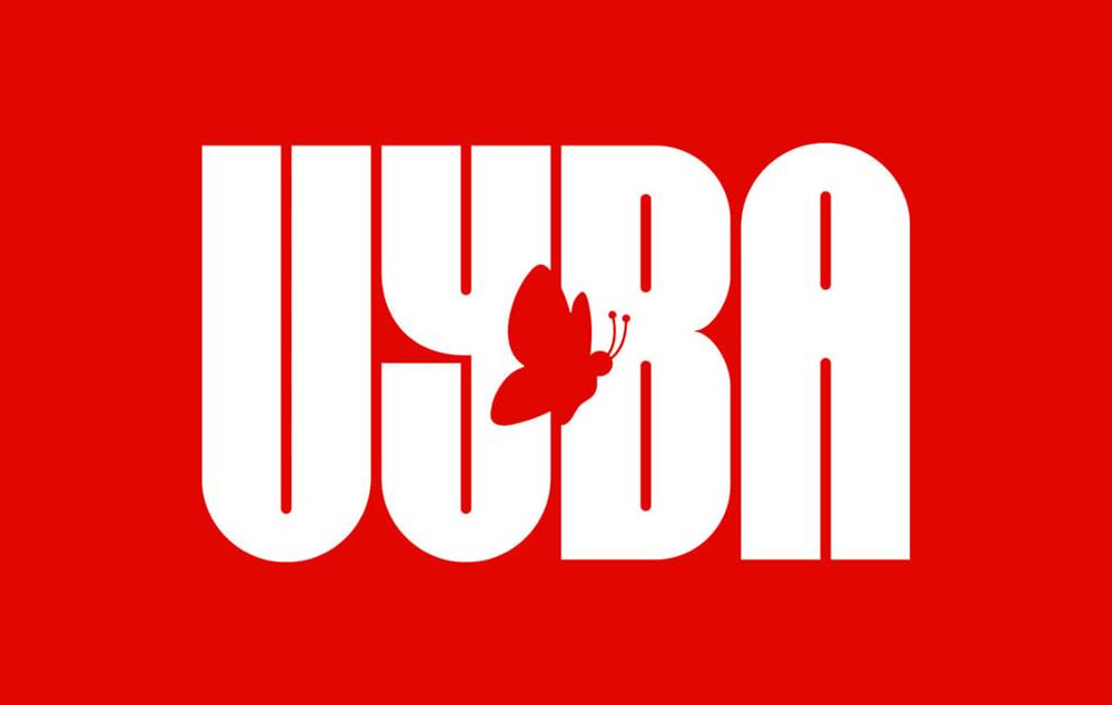 UYBA Volley Busto Arsizio logo