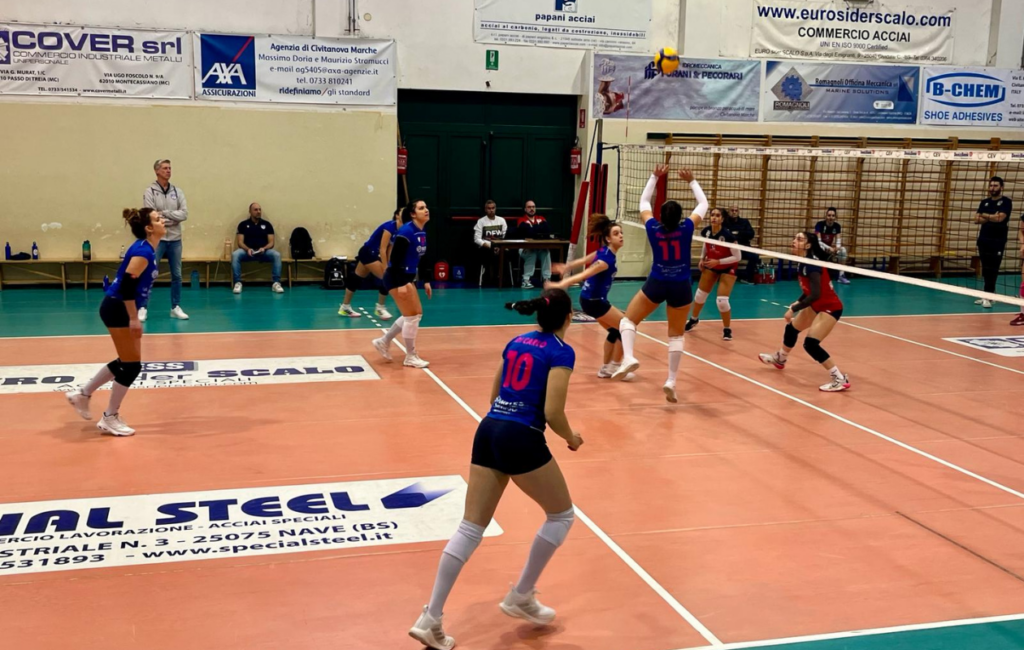 serie d M&G Scuola Pallavolo