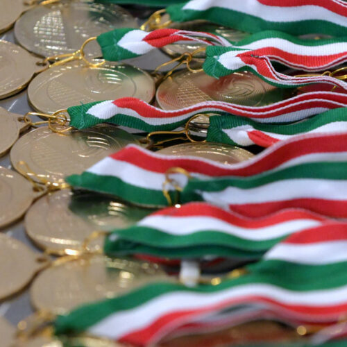 Foto Federvolley