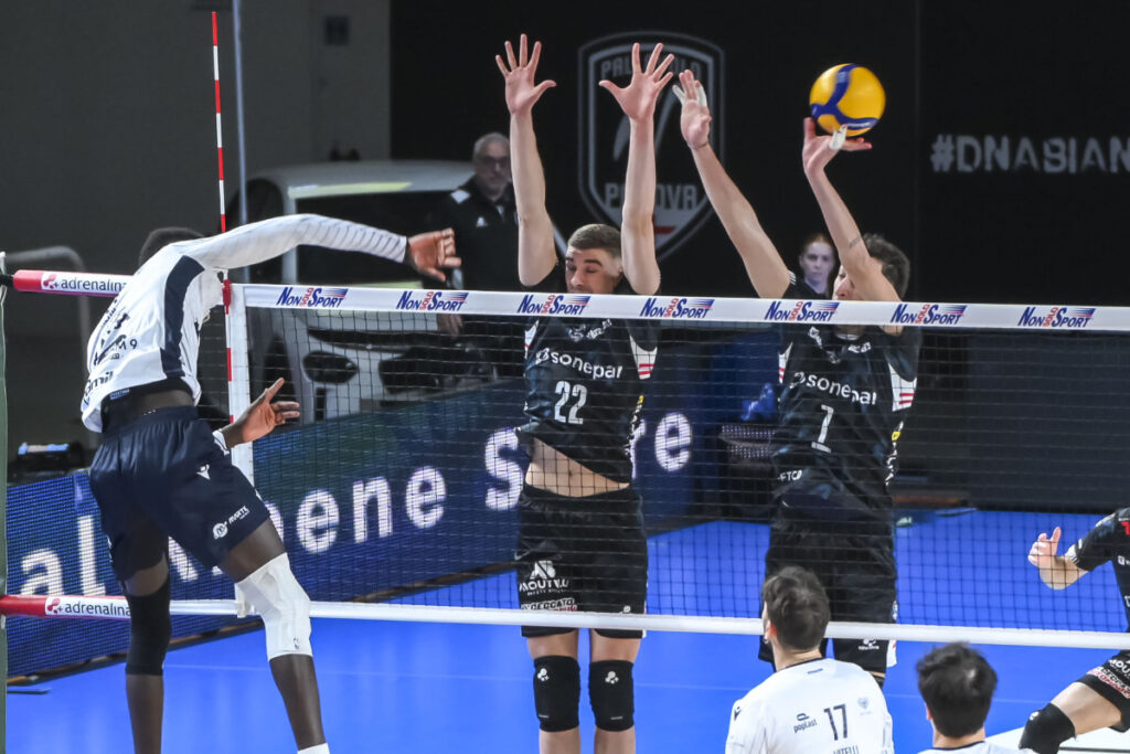 Padova Verona Superlega