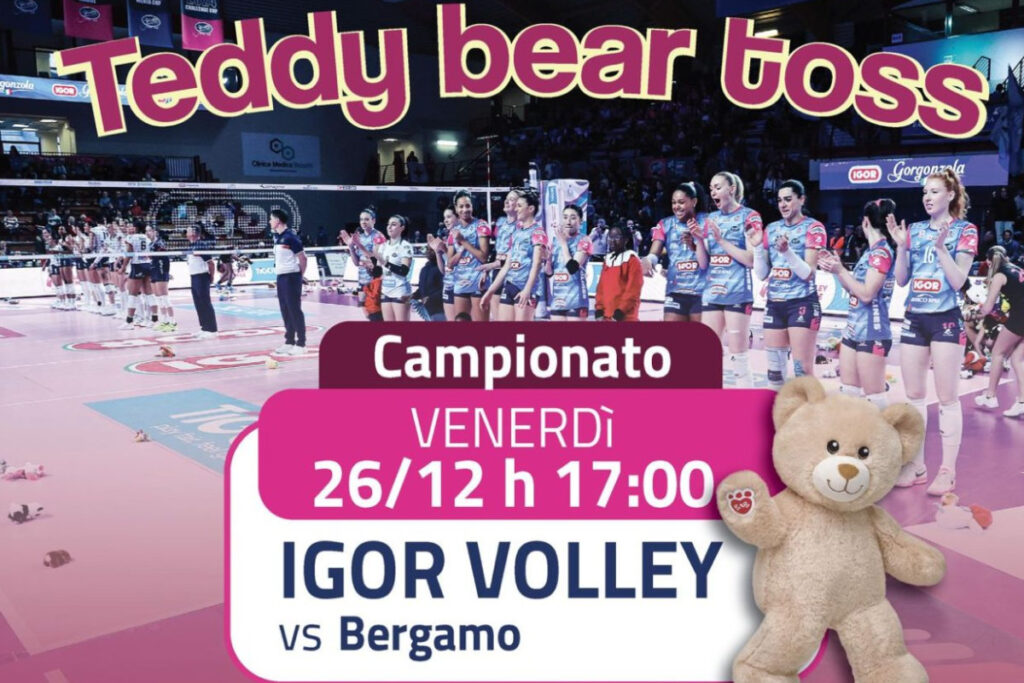 Teddy Bear Toss Novara A1F