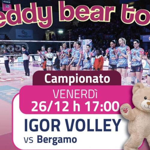 Teddy Bear Toss Novara A1F