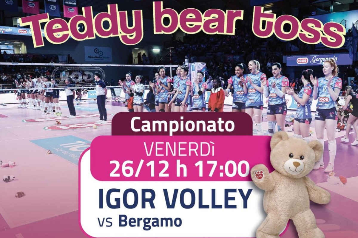Teddy Bear Toss Novara A1F