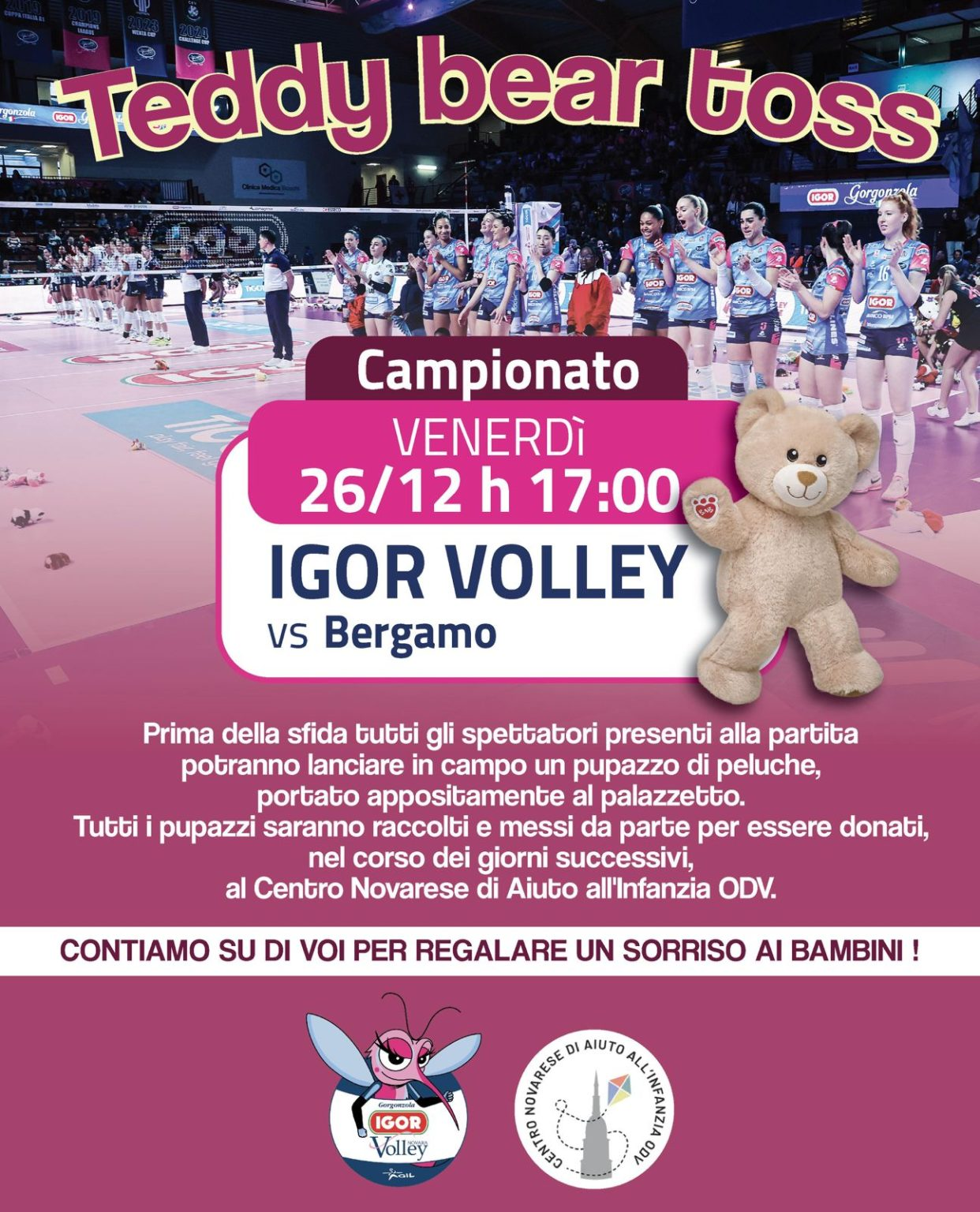 Teddy Bear Toss Novara A1F