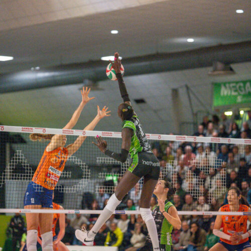 Vallefoglia Conegliano A1F