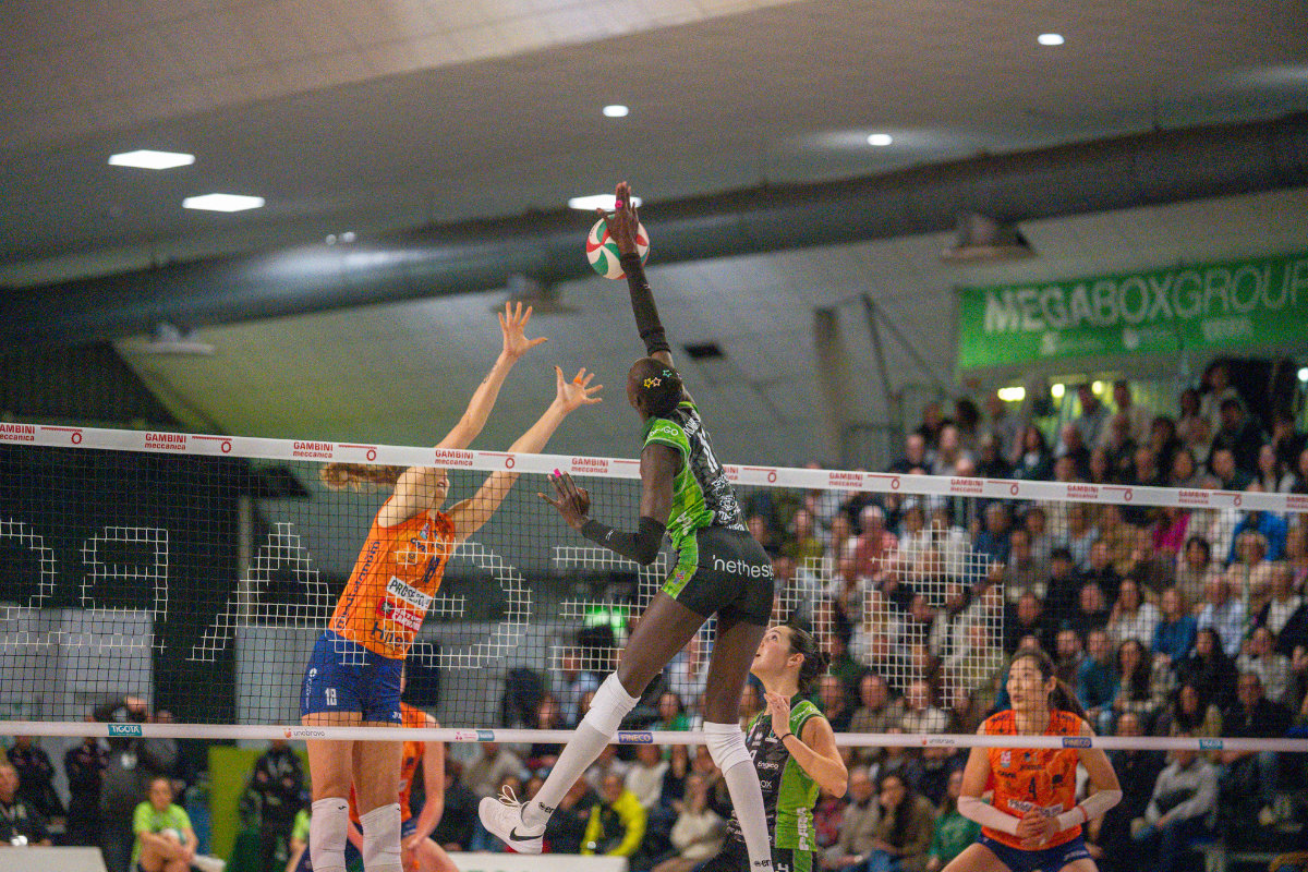 Vallefoglia Conegliano A1F